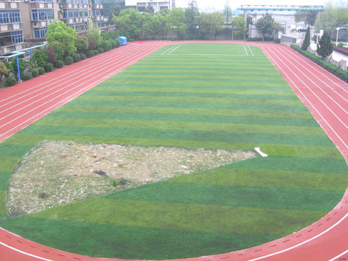 青县第二实验小学