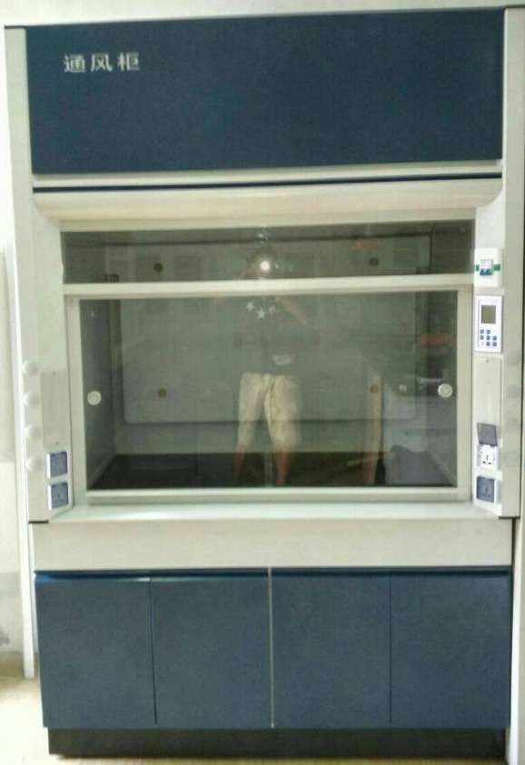 新款Y6